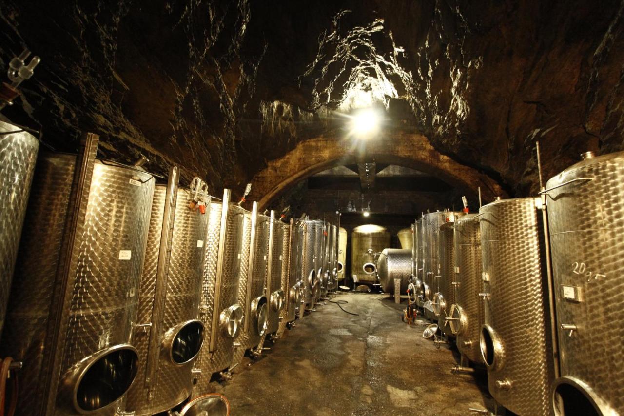 Hotel Und Weingut Karlsmuehle 멜터스돌프 외부 사진